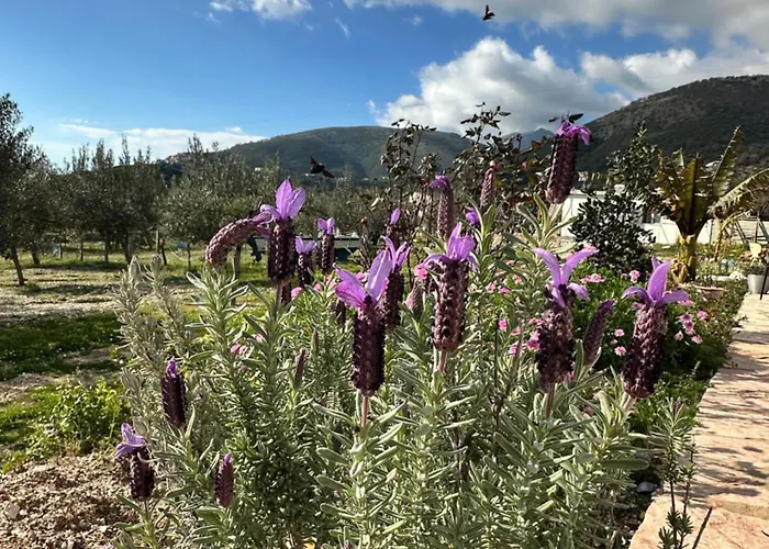 Ambelas Getaways Tatil Evi *